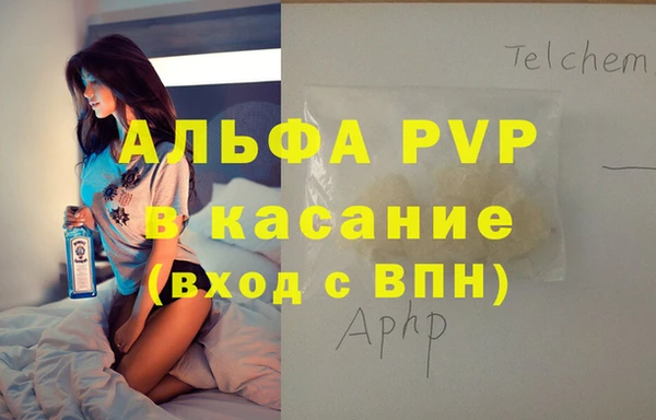сатива Белокуриха