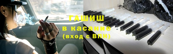 сатива Белокуриха