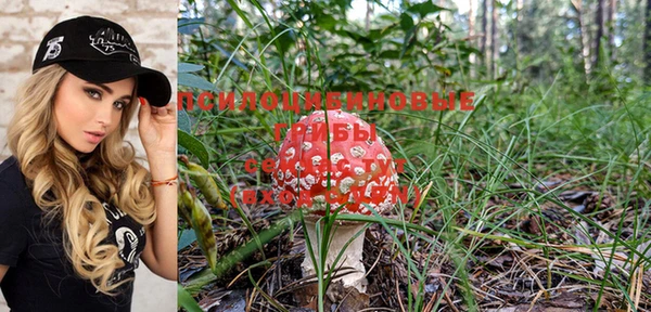 MESCALINE Богородицк